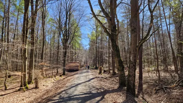 Foto: Heinrich Schneider