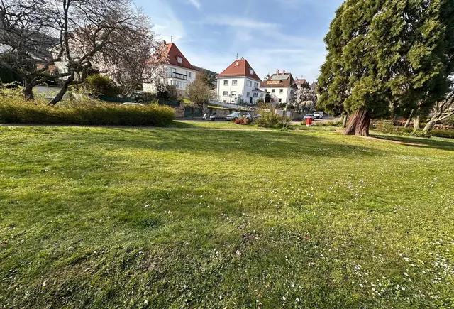Die „Grüne Insel“ bleibt grün: Alle Bäume bleiben erhalten, Stellplätze werden integriert. | Foto: Carla Christmann