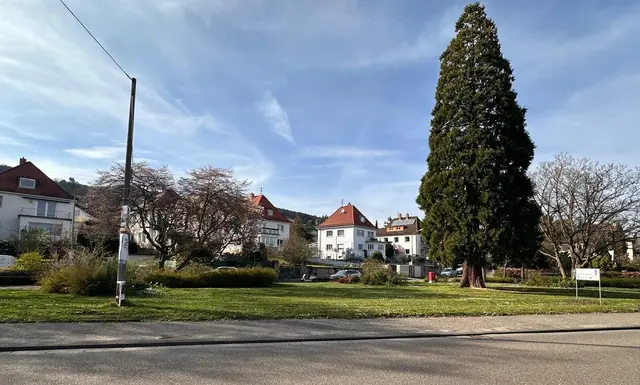 Fahrradstellplätze und zwei Autoparkplätze sind Teil des geplanten Vorhabens. | Foto: Carla Christmann