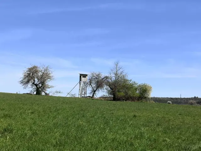 Foto: Heinrich Schneider