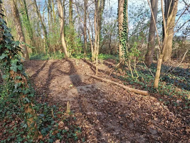 Verwerfungen im Wäldchen.  | Foto: Stadt Frankenthal