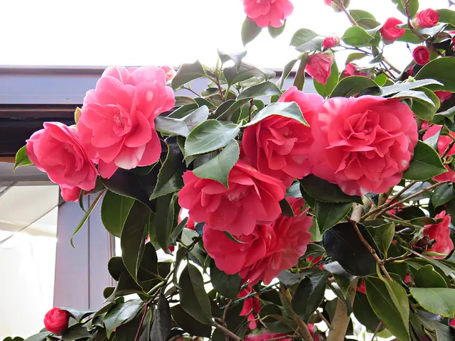 Foto: Brigitte Melder