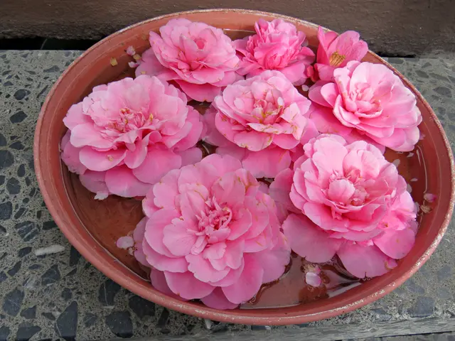 Foto: Brigitte Melder