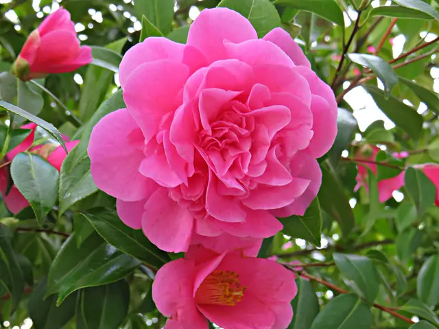 Foto: Brigitte Melder