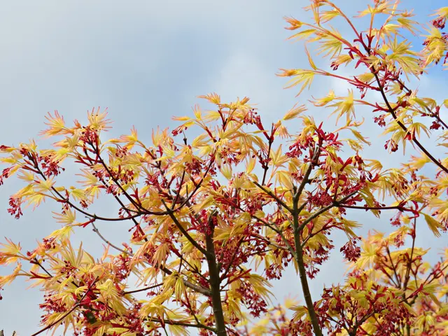 Foto: Brigitte Melder