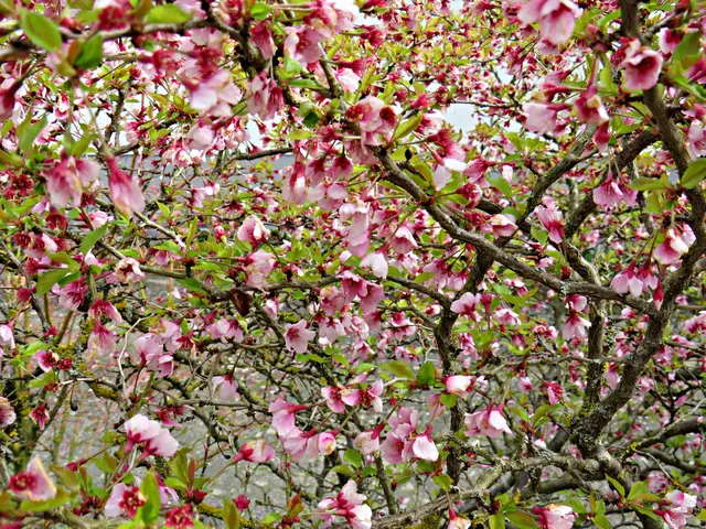 Foto: Brigitte Melder