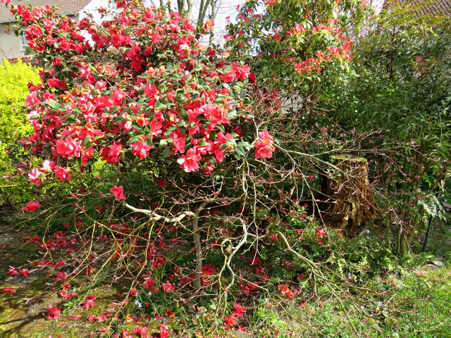 Foto: Brigitte Melder