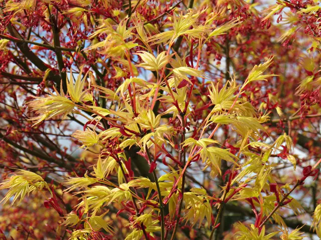 Foto: Brigitte Melder