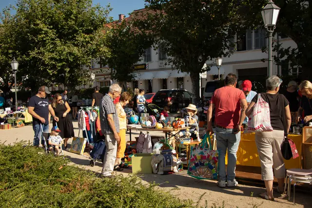 Germersheimer Innenstadtflohmarkt auf dem Königsplatz | Foto: Heike Schwitalla
