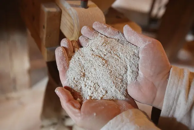 «Öko-Test» hat 50 Vollkornvarianten von Weizen-, Dinkel- und Roggenmehlen untersucht. (zu dpa: «Vollkornmehl im Öko-Test: Viele Bestnoten, zwei fallen durch») | Foto: dpa