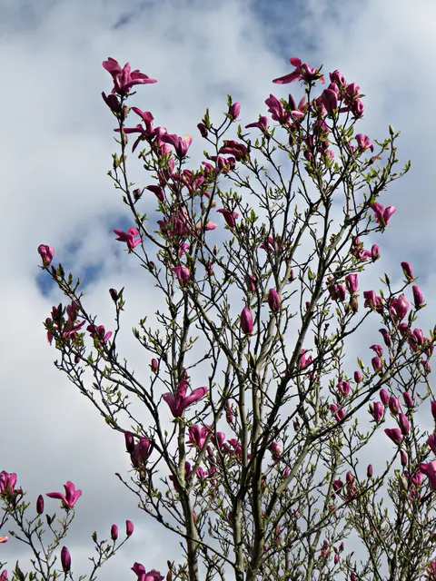 Foto: Brigitte Melder