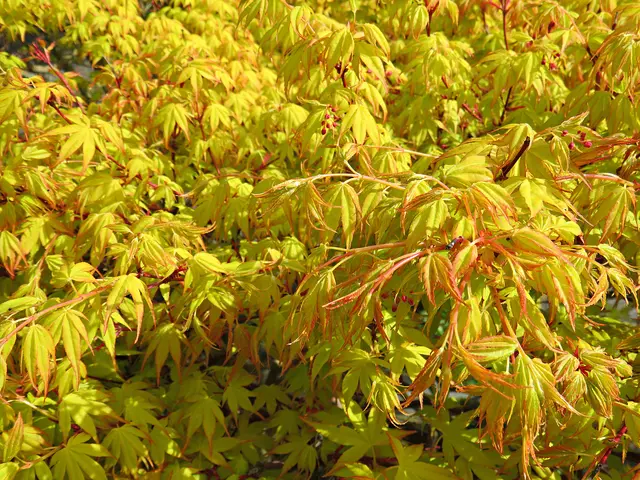 Foto: Brigitte Melder