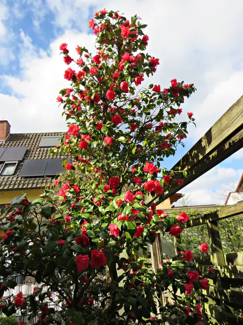 Foto: Brigitte Melder