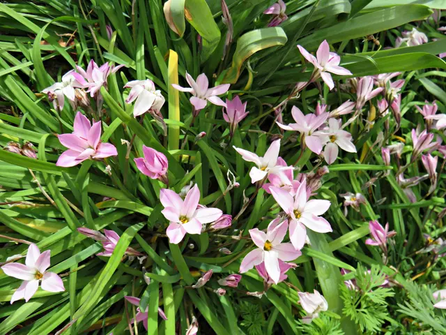 Foto: Brigitte Melder