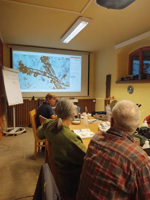 Foto: Annika Böhmer