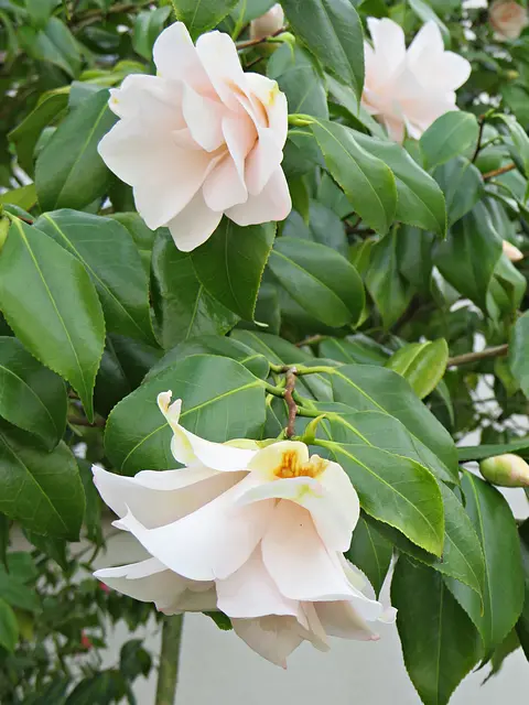 Foto: Brigitte Melder