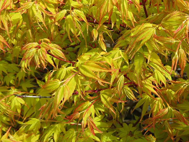 Foto: Brigitte Melder