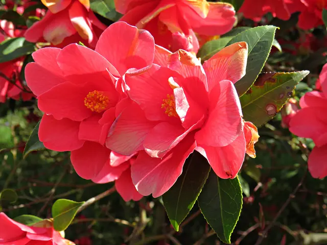 Foto: Brigitte Melder