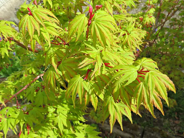 Foto: Brigitte Melder