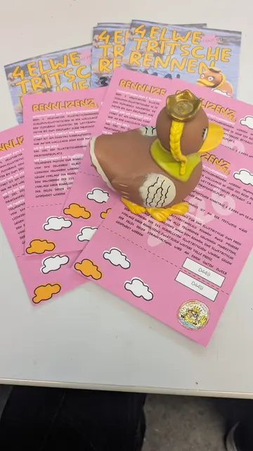 Elwetritsche-Lizenzen 2026 | Foto: Lions Neustadt