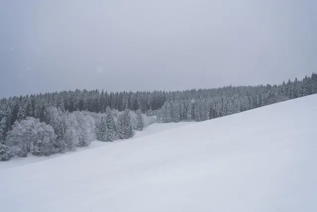 Dank Neuschnee öffnen einige Skilifte erneut. (Archivbild) | Foto: dpa