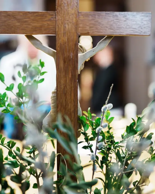 Palmsonntag Symbolfoto | Foto: kathma.de/Andreas Henn