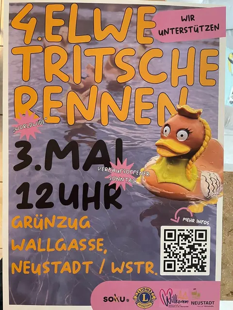Plakat Elwetritscherennen 2026 | Foto: Lions Neustadt