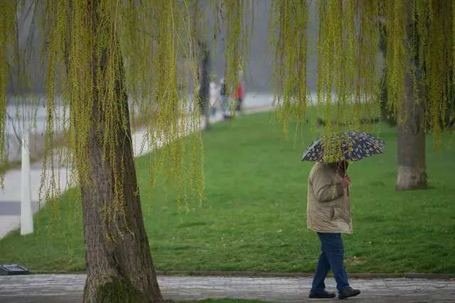 In Rheinland-Pfalz und dem Saarland bleibt das Wetter in den kommenden Tagen unbeständig. (Symbolbild) | Foto: dpa