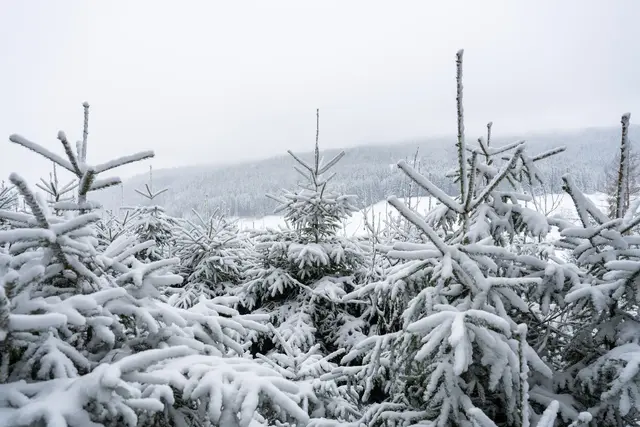 Der Winter will einfach nicht gehen. | Foto: dpa