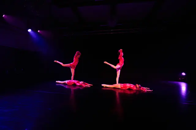 Foto: Copyright Stefan Engler