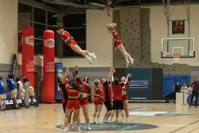 Foto: © Franksfotografien.de