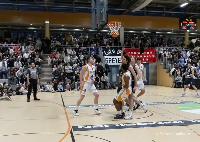 Foto: © Franksfotografien.de