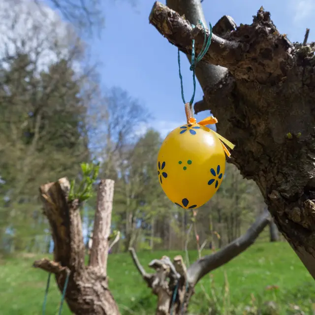 Naturfreunde Schriesheim Ostereiersuche auf der Mannswiese. 
 | Foto: Hannelore Schäfer