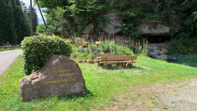 Picknickplatz Speyerbachquelle in Speyerbrunn | Foto: Heike Zinsmeister