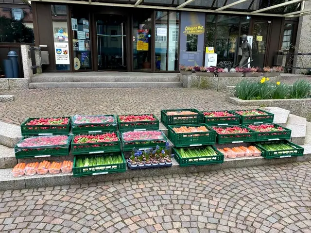 Gemüse- und Blumenpaletten | Foto: Wolfgang Raschke