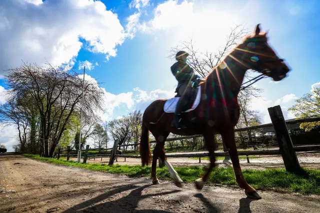 Das Wetter lockte Mensch und Tier nach draußen.  | Foto: dpa