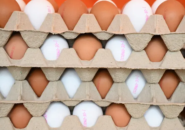 Der Eierbestand in Rheinland-Pfalz ist laut Harald Kopp von der Landwirtschaftskammer Rheinland-Pfalz vergleichsweise stabil. (Symbolbild) | Foto: dpa