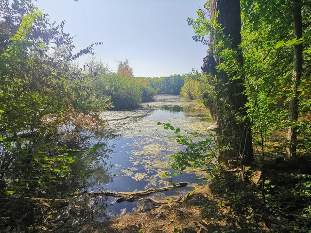  Hördter Rheinauen - Hochwasserschutz und Naherholung sollen hier zusammen funktionieren | Foto: Heike Schwitalla