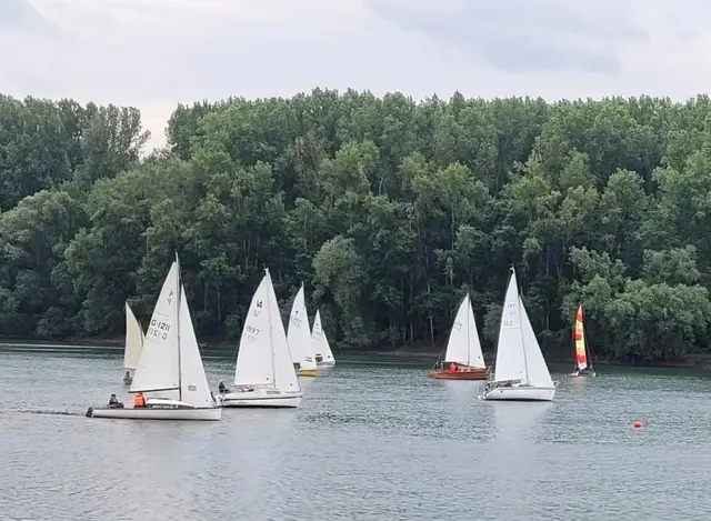 wer schon immer mal segeln wollte, kann es beim Segelclub in Lingenfeld ausprobieren | Foto: Kunz/frei