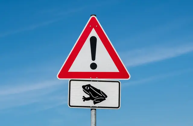 Wegen der Amphibienwanderung kontrolliert die Polizei nachts die K16 zwischen Wachenheim und Lindenberg. Mehrere Autofahrer ignorierten das Durchfahrtsverbot. | Foto:  Mario Hoesel/stock.adobe.com