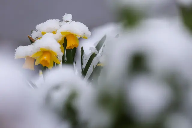 Am Mittwoch kann in höheren Lagen sogar etwas Schnee fallen. (Symbolbild) | Foto: dpa