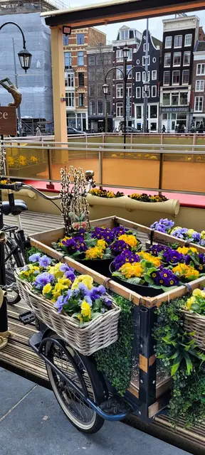 Fahrräder und Blumenpracht in Amsterdam.  | Foto: Volker Widdrat