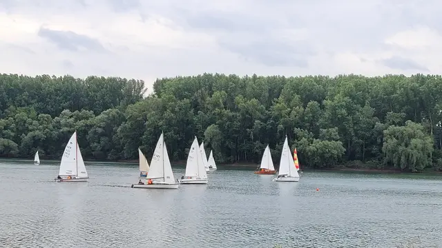 Jetzt Schnuppersegeln beim Segelclub Lingenfeld | Foto: Kunz/frei