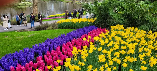Bunte Blütenpracht im Keukenhof. | Foto: Volker Widdrat