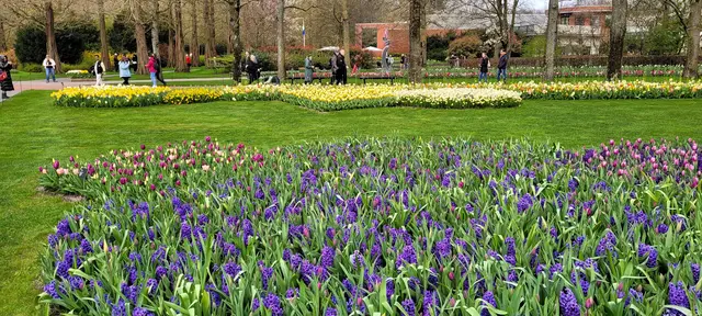 Bunte Blütenpracht im Keukenhof. | Foto: Volker Widdrat