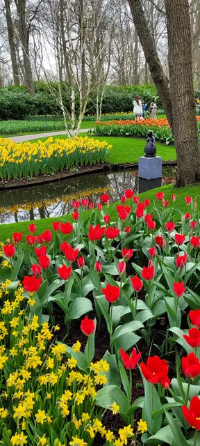 Blütenpracht im Keukenhof. | Foto: Volker Widdrat