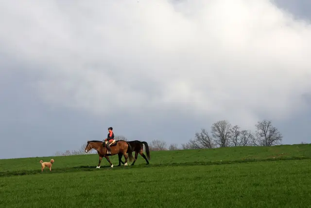 Die ersten Tage des langen Osterwochenendes werden laut DWD eher trüb. (Archivbild) | Foto: Thomas Warnack/dpa