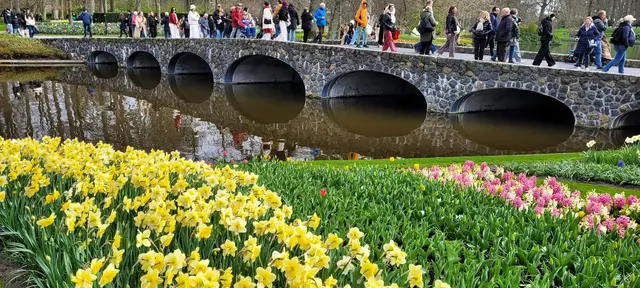 Bogenbrücken führen über die Kanäle, die sich durch den Keukenhof ziehen. | Foto: Volker Widdrat