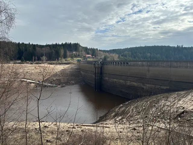 Blick auf die Entleerung | Foto: EnBW