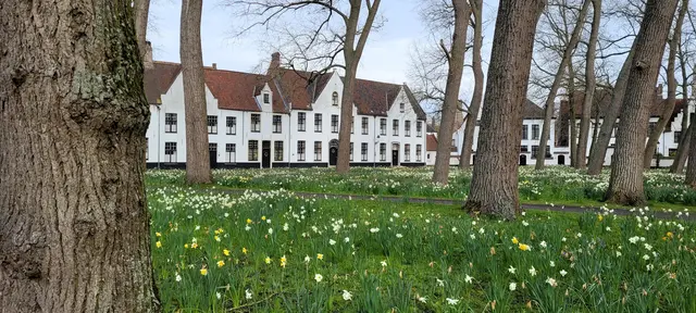 Beginenhof in  Brügge. | Foto: Volker Widdrat